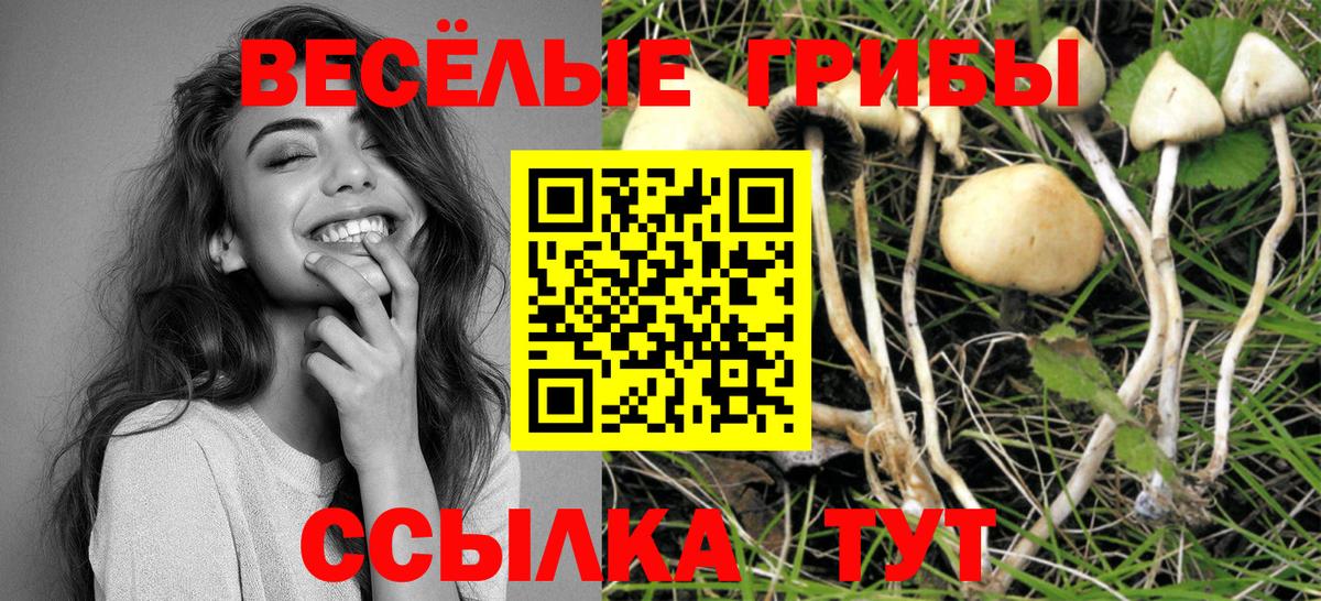 Донской  Галлюциногенные грибы MAGIC MUSHROOMS  Галлюциногенные грибы ЛСД  купить  сайты  Вход с VPN 