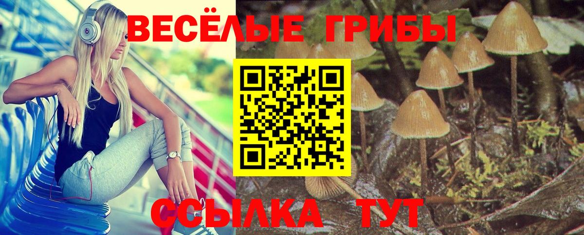 Псилоцибиновые грибы мицелий Донской